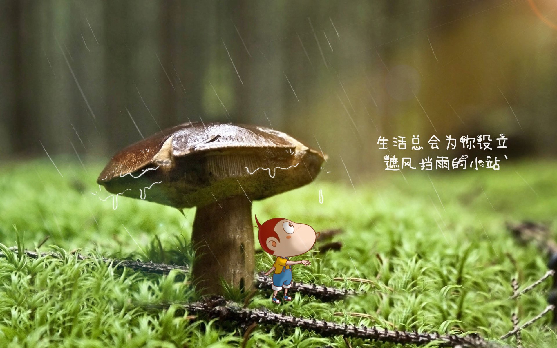 德甲球队神经反馈技术促进专注力和反应速度提升，神经反馈训练去哪里做