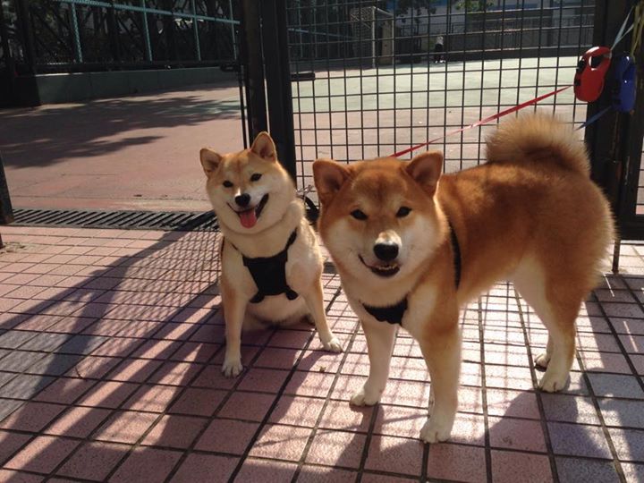 全民健身活动结合传统节庆创新形式，全民健身活动方案及总结