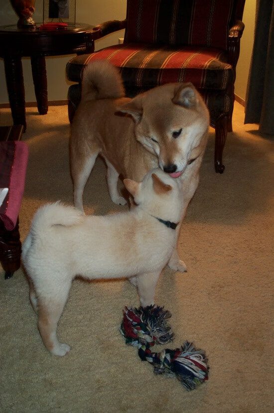 爱游戏体育下载-切尔西门将数次关键扑救保卫胜果，切尔西门将是谁