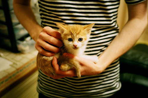 国家队常年无队魂核心人物引领，国家队队员有什么待遇