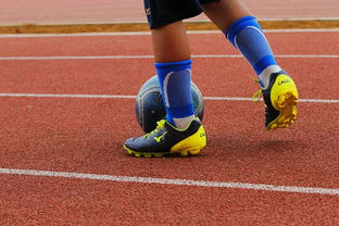 爱游戏app注册-明星球员带动体育产业发展，打造体育明星的弊端