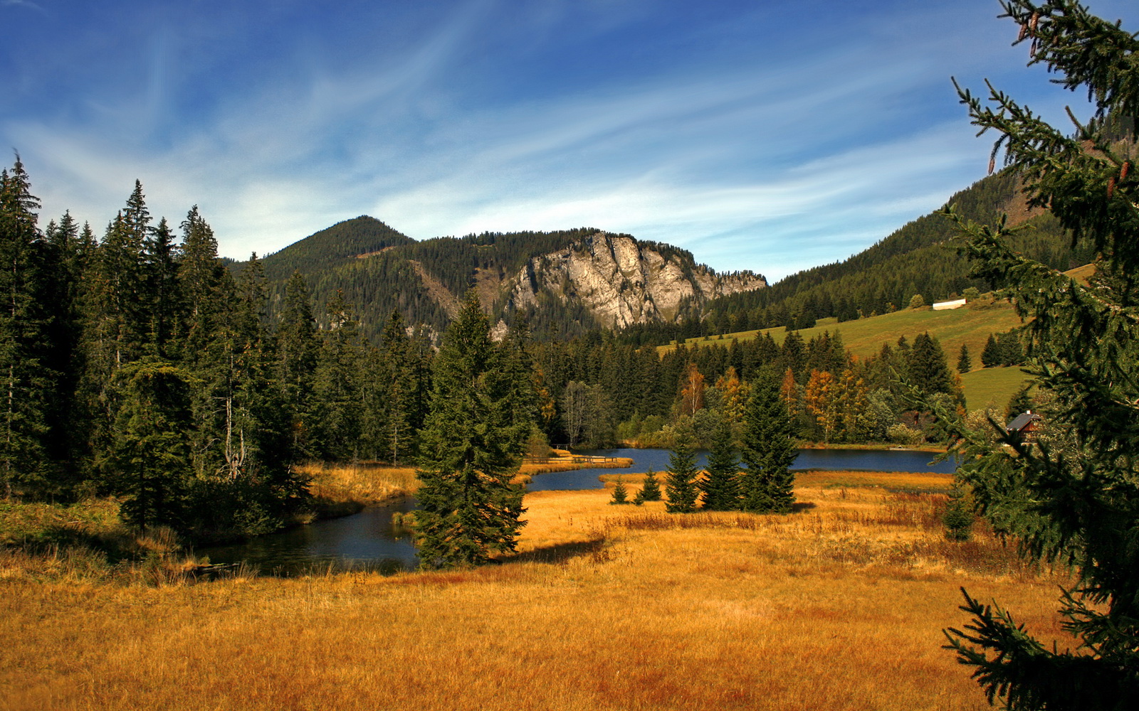 爱游戏体育下载-高节奏战术体系是否更容易被针对破解，节奏太强下一句是什么