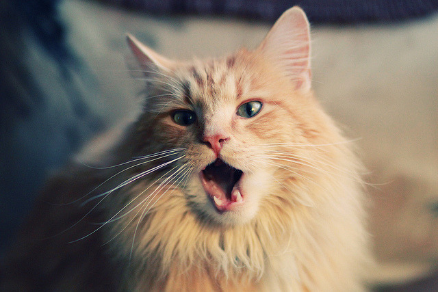 爱游戏体育-世界杯激情再燃：高潮不断，精彩值得期待！，世界杯精彩片段视频