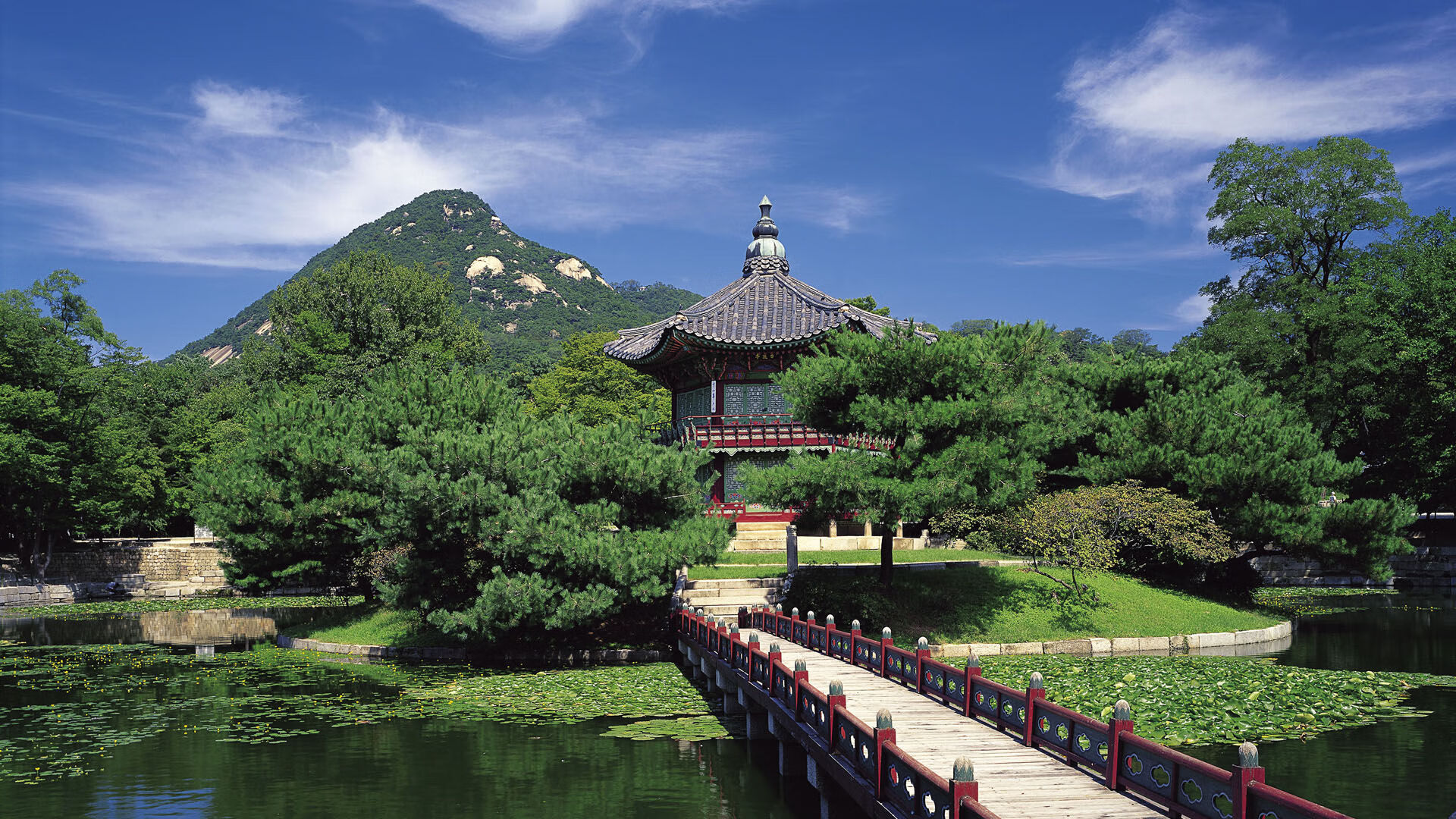 乒乓球锦标赛精彩瞬间回顾，乒乓球锦标赛冠军