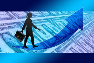 爱游戏下载-女子赛事门票收入创新高，商业赞助进一步跟进，女子锦标赛