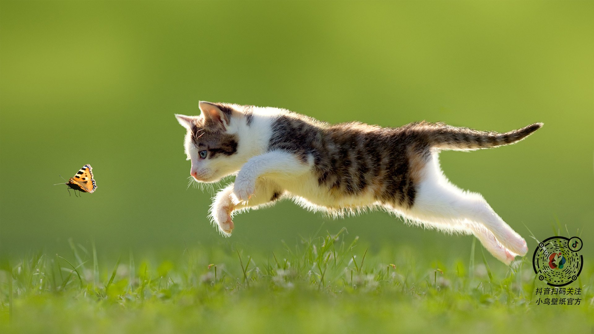 爱游戏体育在线-威少被赞替补最强带动板凳效率，威少的篮板能力