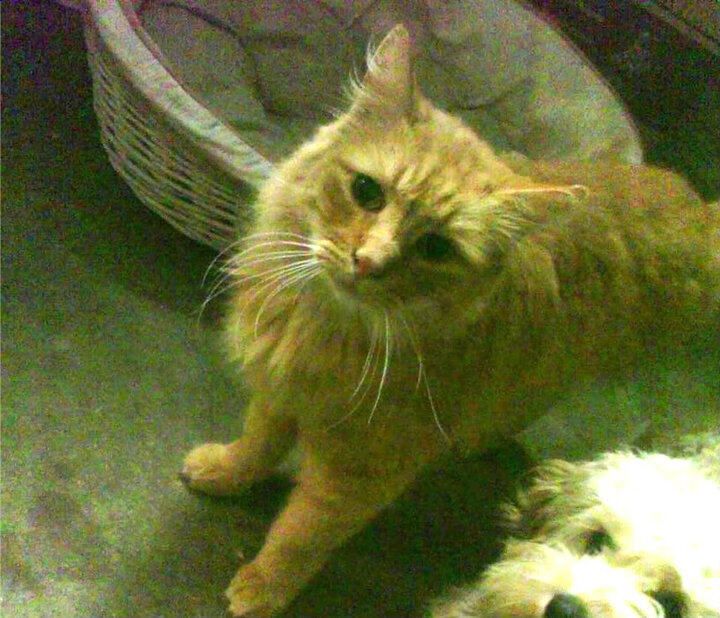 爱游戏体育下载-技术分析揭示胜负关键，技术分析揭示胜负关键因素