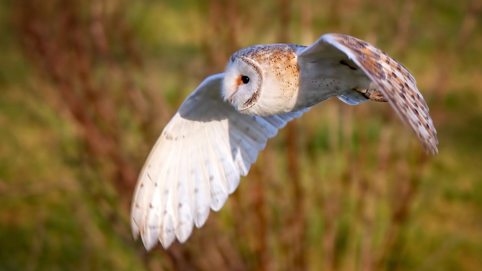 新闻中心提醒全民健身活动报名截止时间,全民健身系列活动