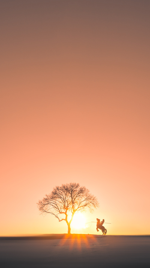 混合泳赛事瑞士全面应战,混合泳比赛项目